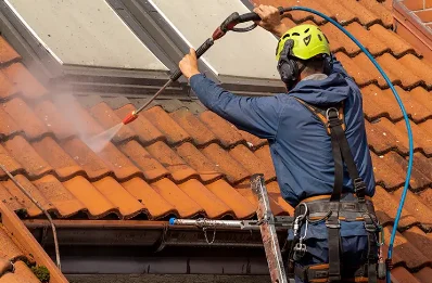 Démoussage et hydrofuge de toiture à Strenquels